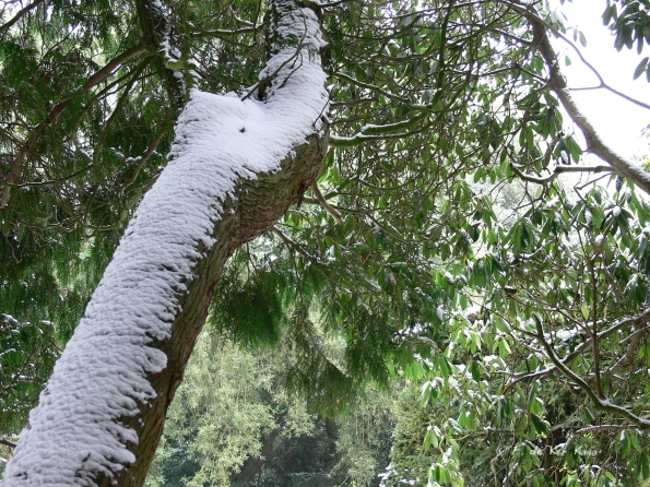 Bois des Moutiers Winterreise (29)